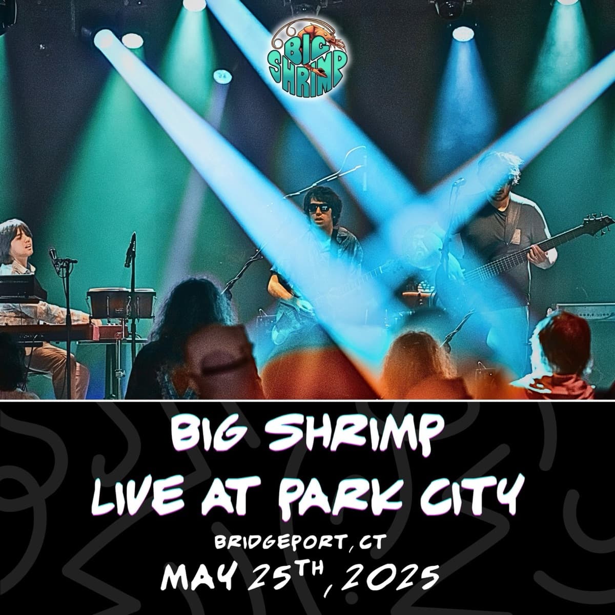Live at Park City album cover